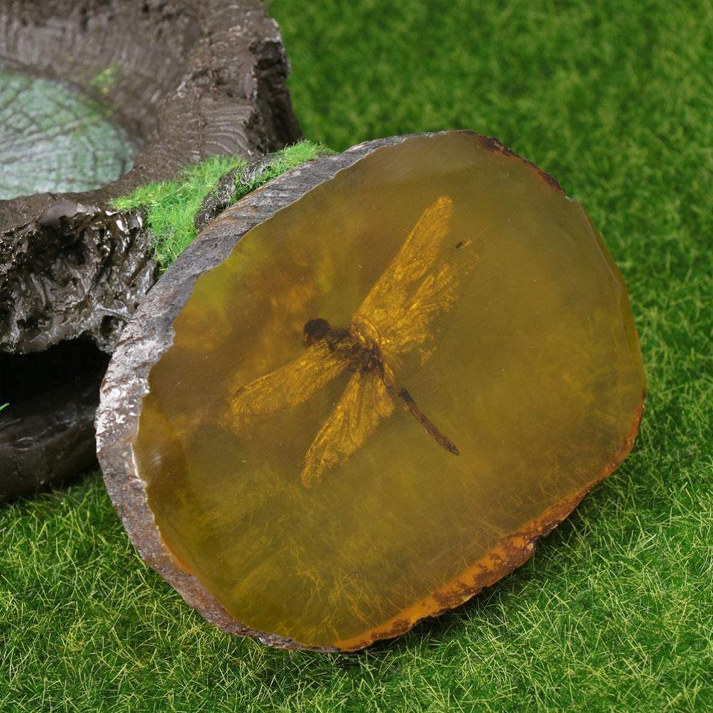 Home Crafts Decor Collection Chinese Beautiful Amber Dragonfly Exquisite Manual Insects Polishing Gift Fossil Z2K1