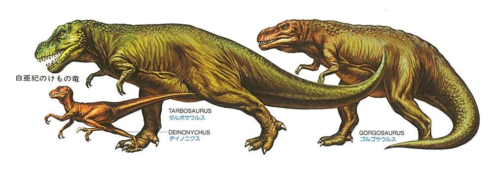 Пластиковая модель динозавра TAMIYA Dinosaur Series Tyrannosaurus 60203 1/35 № 3