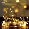 Mini LED Copper Wire String Lights