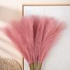 Свадебные искусственные цветы Мини Пампасы Тростник Домашний декор Ins Wind Creative