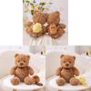Bear Adorable Teddy Plush Toy With Capybara Companion Cute Animal Gift Perfect