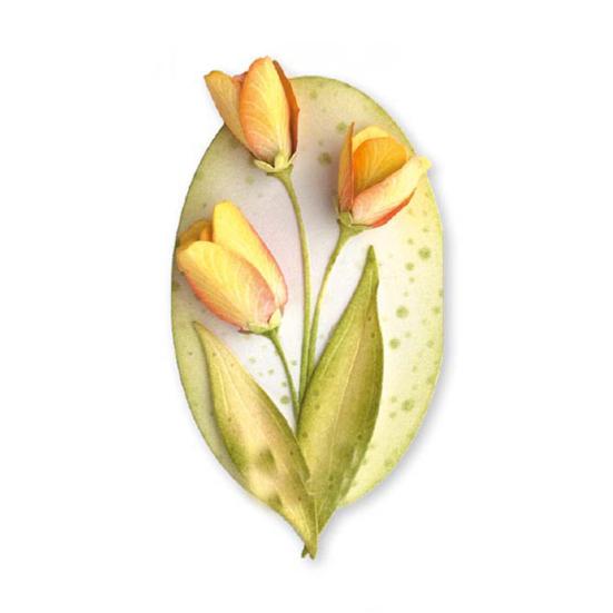 Цветок металлический трафарет DIY Скрапбукинг бумажные карты искусство фото трафарет плесень