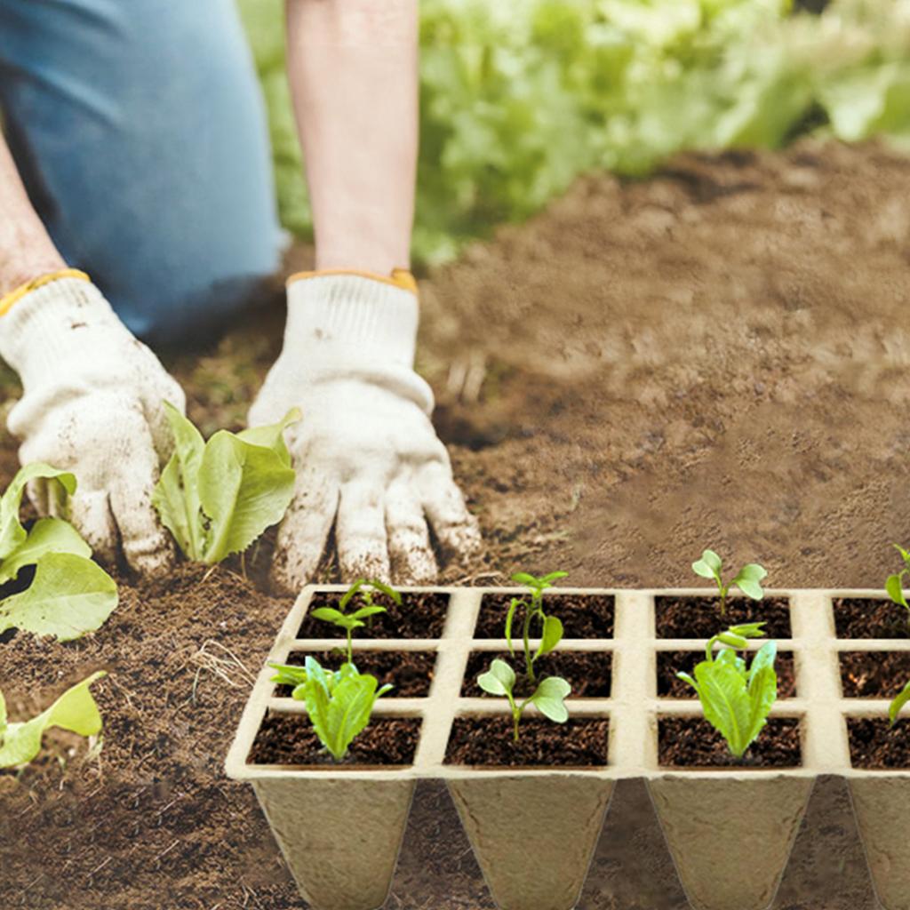 10/50pcs Seed Starter Tray Plants Growing Tray Degradable Seedling Germination Starter Tray for Flower Vegetable Garden Supplies