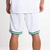 Nike NBA Boston Celtics Association Edition Swingman Dri-FIT Shorts White/Green Men Streetwear AJ5586-100