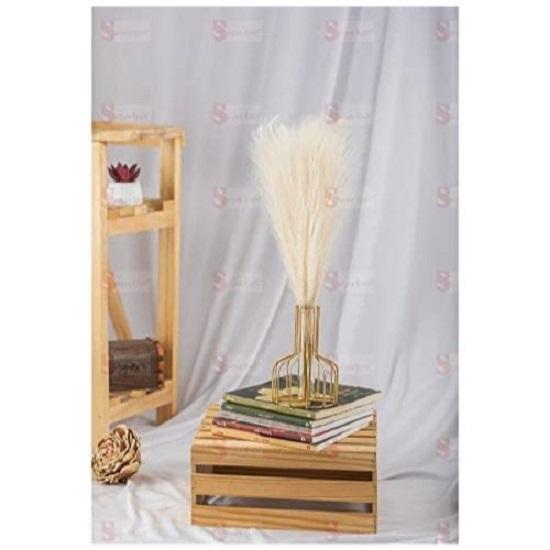 3 шт. искусственные пампасы маленькие пушистые искусственные цветы искусственные цветы для дома, офиса, украшения спальни (Без Вазы Горшок) (Белый с оттенком) шелк