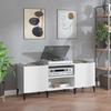 VidaXL Record Cabinet, Side Cabinet with Storage, Furniture for Turntable, Living Room Buffet, Industrial, Home 831933