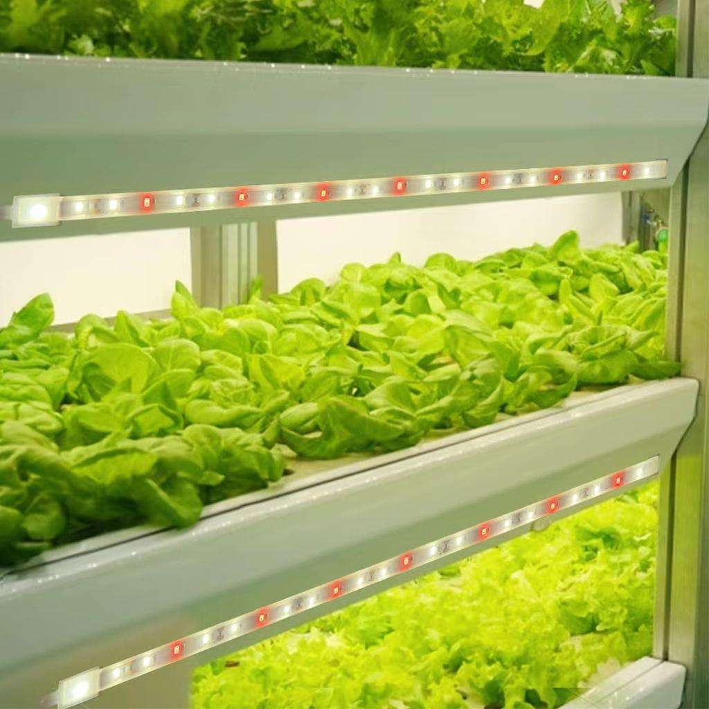 LED Plant Grow Light Strips for Indoor Plants Red & 3000K Sunlike Grow Lamp for Hydroponics