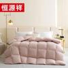 Hengyuanxiang 1JG1227 Luxury Goose Down Comforter