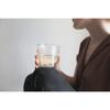 KINTO LT Tea Bag Cup 260ml Heat-Resistant Glass 21241