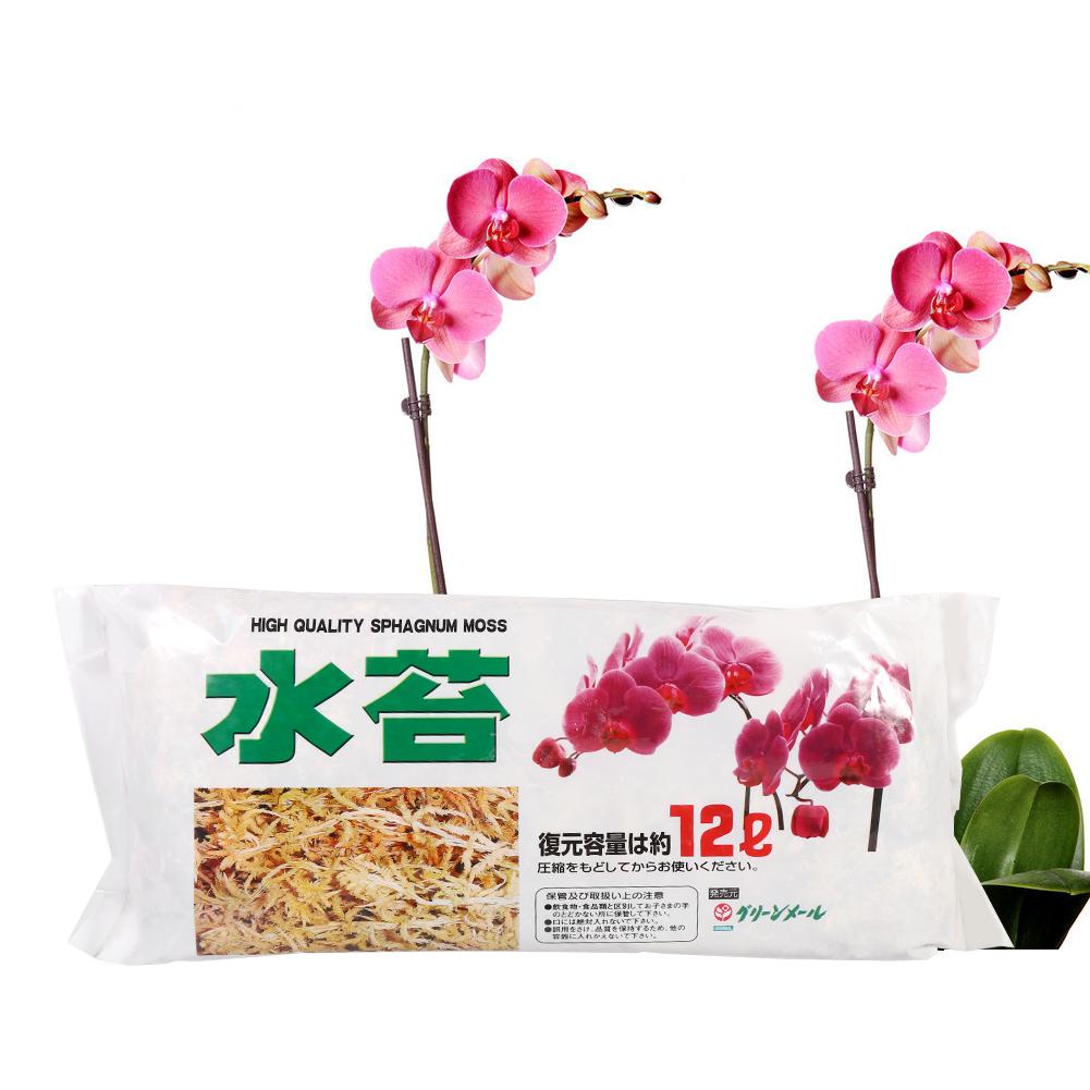 Garden Supplies Sphagnum Moss Moisturizing Nutrition Organic Fertilizer For Phalaenopsis Orchid