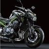 Motorcycle Accessories Front Mudguard Fender Wheel Cover Splash Guard Protector For Kawasaki Z900 2017 2018 2019-2024