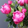 Имитация пиона Искусственные цветы Букет Домашний сад Свадьба Вечеринка Украшение Реквизит для фотосъемки