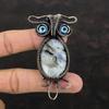 Rainbow Moonstone Pendant Copper Wire Wrapped Gemstone Jewelry Handmade Pendant Blue Color Evil Eye Pendant Owl Copper Pendant Gift For Her