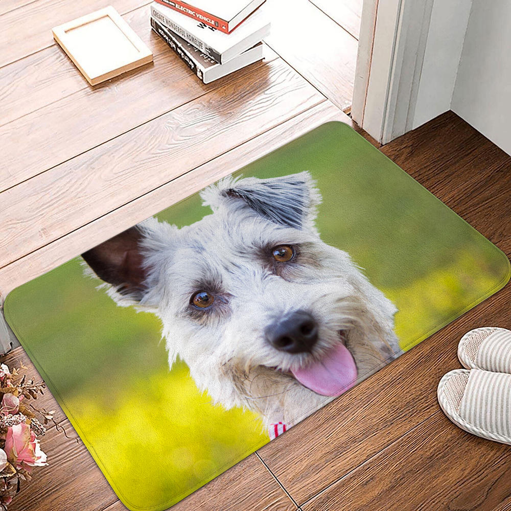 Floor Mat Entrance Door Mat Small Carpet Non-slip Door Mat Living Room Bathroom Kitchen Rug