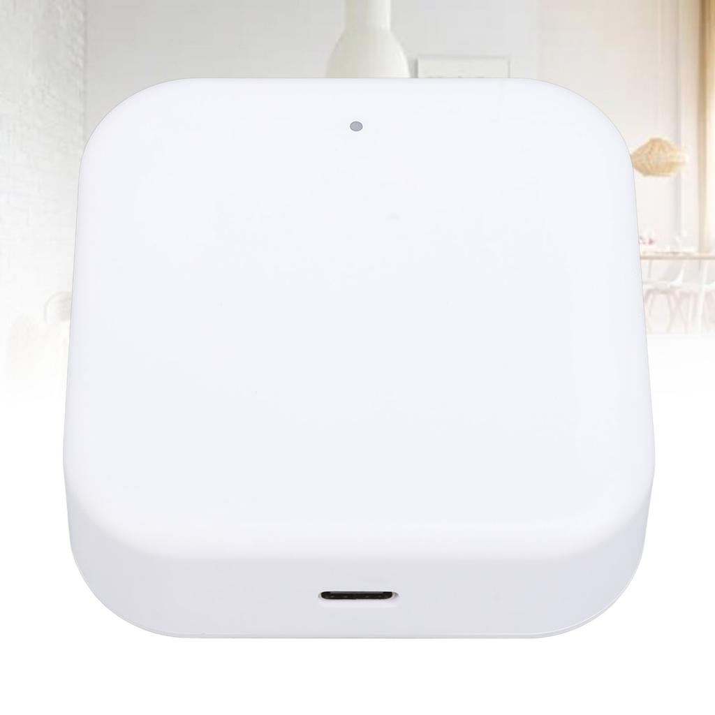 Smart Lock WiFi Bridge Remote Control Voice Control Easy Setting Bluetooth 2.4G WiFi Keyless Entry L