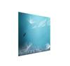 Glass Stovetop Protector 50x52 Flower