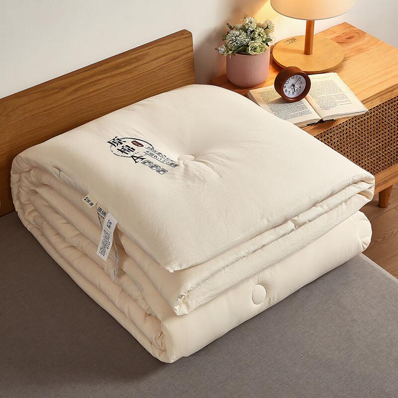 Good Sleep Soybean Fiber Winter Quilt