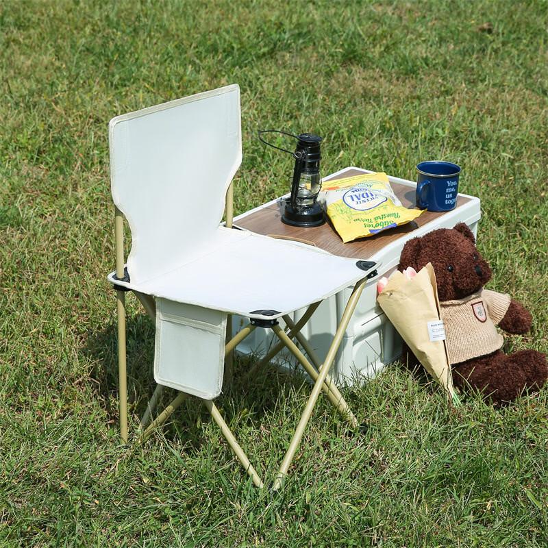 Brangdy Portable Folding Camping Chair