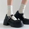 Fashion Temperament Retro Internet Celebrity Explosion Platform Small Leather Shoes Women 2025 New Autumn and Winter Versatile Mary Jane Single Shoes