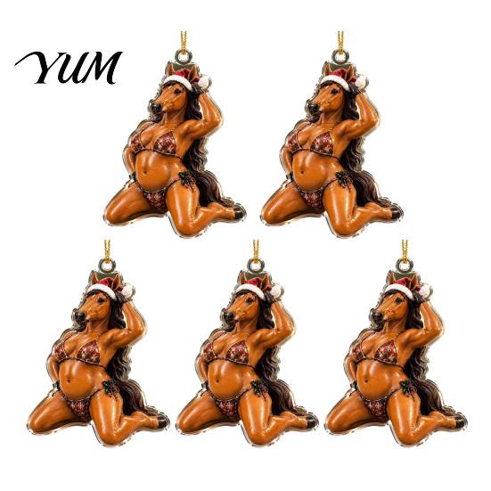 Novelty Christmas Tree Accessories 5 Pcs Quirky Bikini Ornament, Funny 2D Acrylic Santa Claus Horse Clear Printed Baubles Dachshund Highland