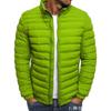 2025 European and American Autumn and Winter New Solid Color Cotton-padded Jacket Simple Atmosphere Men's Cotton Clothes