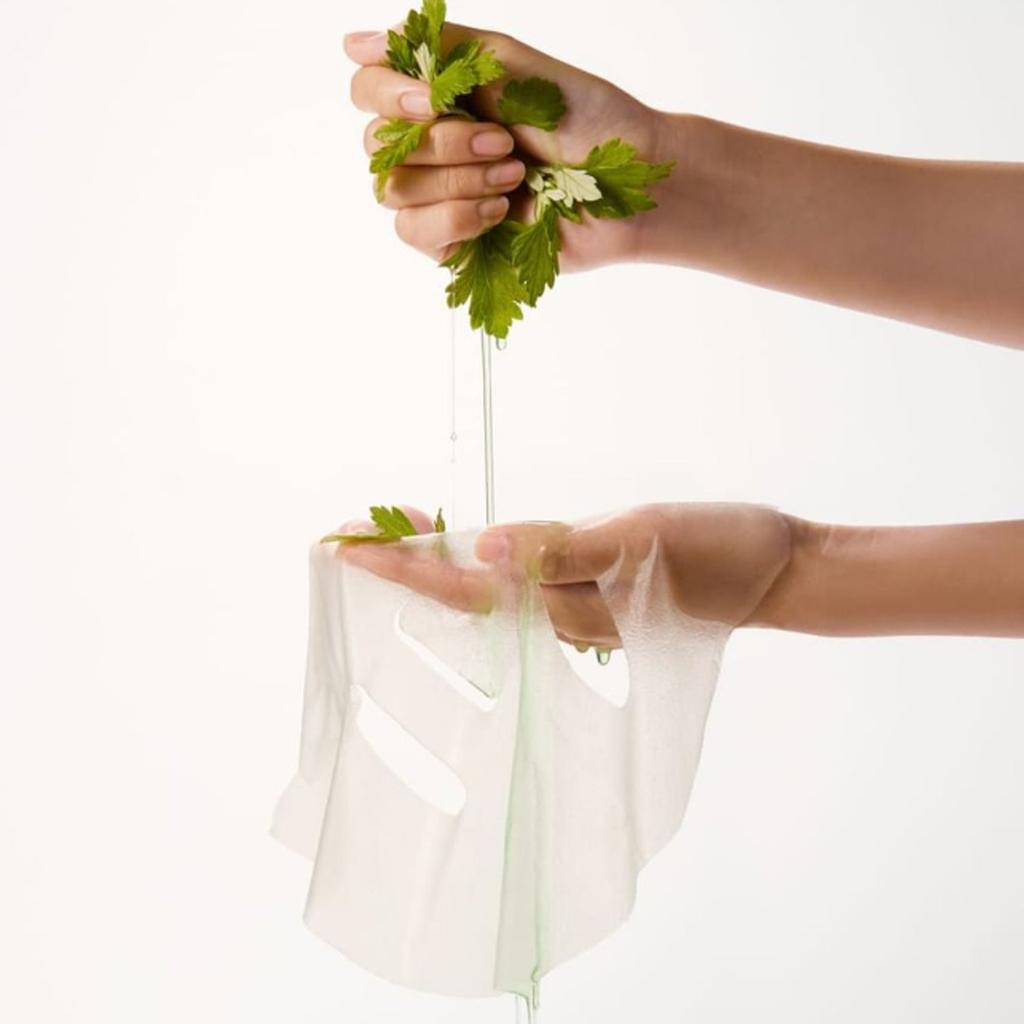 WHIPPED Mugtree Vegan Pore Cooling Squeeze Mask 21ml