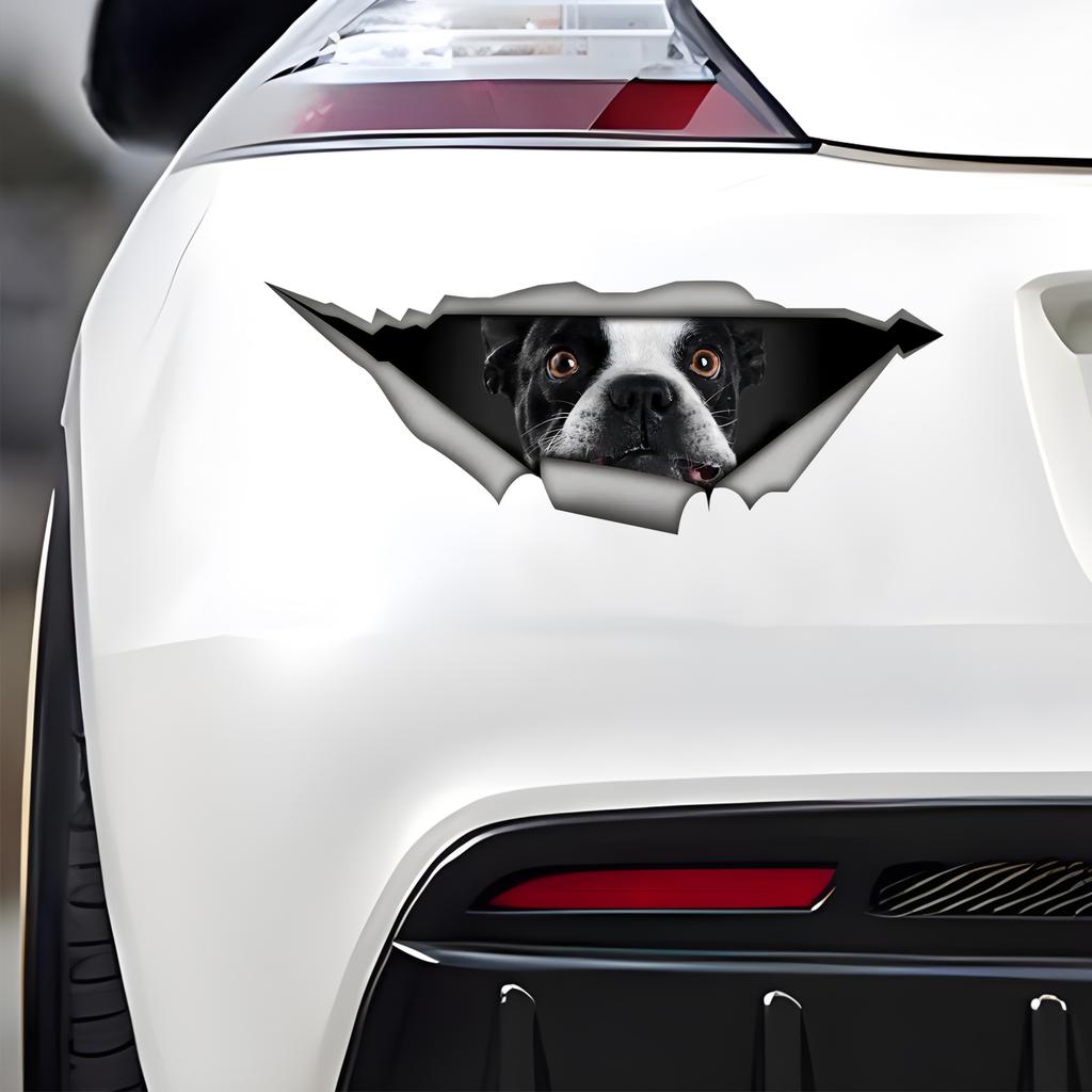 Французский бульдог 3D сломать стену наклейка на автомобиль, водонепроницаемый виниловый материал аксессуары, интересно для автомобилей, грузовиков, мотоциклов, стен
