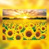 Toy & Puzzle Sunset Jigsaw Puzzle In a Yellow Sunflower Field TP10-1015, Korean Popular Puzzles