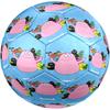 Barbapapa Theme Size 5 Soccer Ball, Suitable for Both Indoor and Outdoor Matches, a Gift Suitable for Everyone.