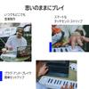 Arturia MicroLab MK3 Keyboard Controller 25 Sensitive Slim Connection White MK3 - Keys/Velocity High-Quality Keyboard/USB-C - (MICROLAB WH)