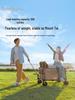 SunnyFeel Shanmen Camper Van Folding Cart - Portable, Large Capacity, Rear Opening for Outdoor Camping.