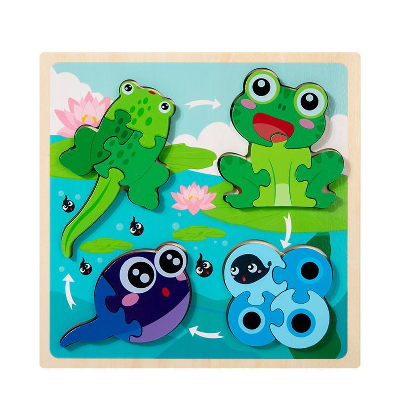 Life Animal Frog Cycle Jigsaw Puzzle Game For Kids Cognitive And Skills Shape