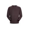 Arc'teryx COVERT LT Fleece Clothing Men's (Unisex) Fleece Tops 25885