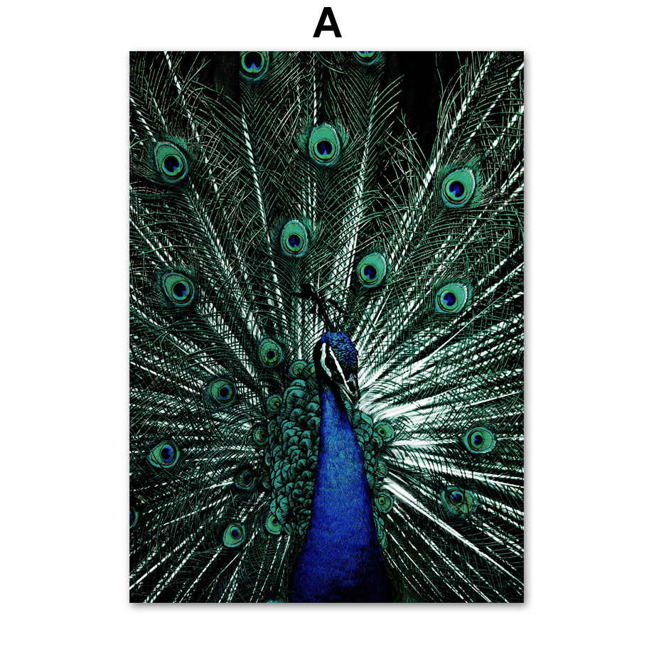 Синие павлиньи перья Цитаты Животные Скандинавские постеры и принты Картина на холсте Современное настенное искусство Картины для гостиной Домашний декор