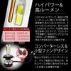 Shingen LED KIWAMI Headlight Fog Lamp Common Item 2 Lights Total Actual Value 12600LM Canceller High Power 55W Bulb H8/H9/H11/H16 Built-in