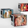 Picasso 'Flower of Friendship' 16-Piece Ceramic Dinnerware Set