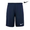 Мужские шорты Dri Fit Park 3