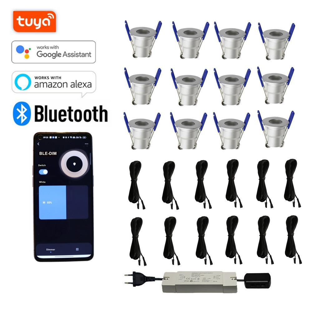 10x 3w Mini LED Downlight Complete Set TUYA APP Dimmable LED for Veranda or Terrace