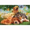 Diamond Painting Diy Diamond Painting Sleeping Cat & Dogs Embroidery Home Decor Dimond Mosaic