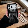 Чехол для телефона: 2D плоский, подходит для iPhone 18 17 16 15 14 13 12Pro, аниме-девушка, идеальный подарок на Рождество и Хэллоуин