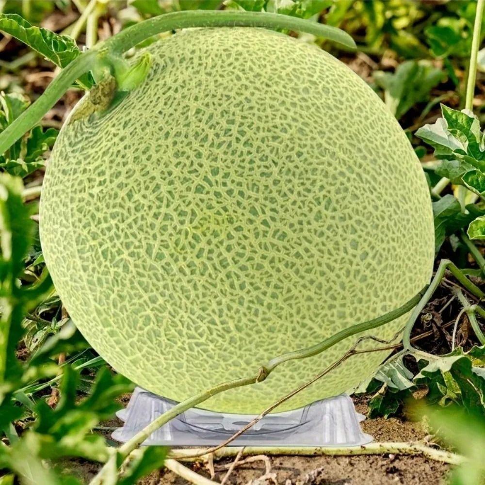 20/50Pcs Thickened Watermelon Holder Transparent Plastic Planting Pad Fruit Shop Display