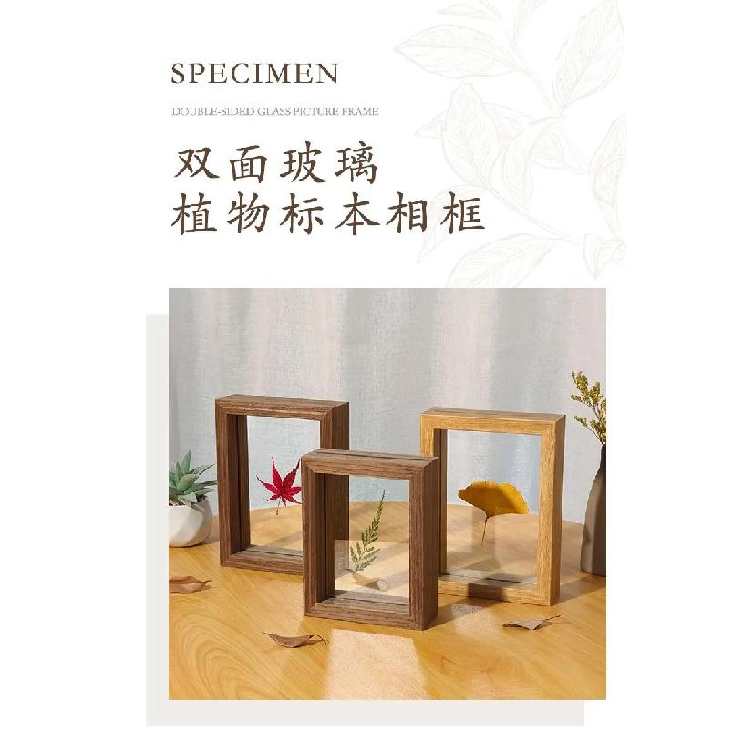 Double-Sided Transparent Glass Frame Creative Décor for Plants, Leaves, and Papercuts Versatile Picture Frame Artwork Display
