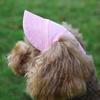 Pet Baseball Cap Super Soft Adjustable Wear-resistant Wide Brim Easy-wearing Dress Up Canvas Colorful Puppy Baseball Cap Pet Headgear Pet Supplies