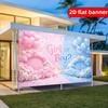 2D flat banner light luxury minimalist style party background decoration banner suitable for gender revealing