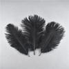 10 шт. Натуральные окрашенные пушистые мягкие страусиные перья для рукоделия, DIY, вышивки, изготовления ювелирных изделий, платьев, свадебных украшений 25-30 см