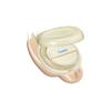 Cushion Egg-Fit Cover 02 Nude 13 g - кушон тональный крем светло-бежевый