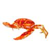 Lifelike Crab Stuffed Plush Doll Emulational Crab Crab Stuffed Animal Doll  Home Decor