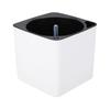 Square Plastic Desktop Flower Pot for Home and Office Gardening