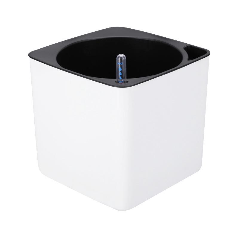 Square Plastic Desktop Flower Pot for Home and Office Gardening