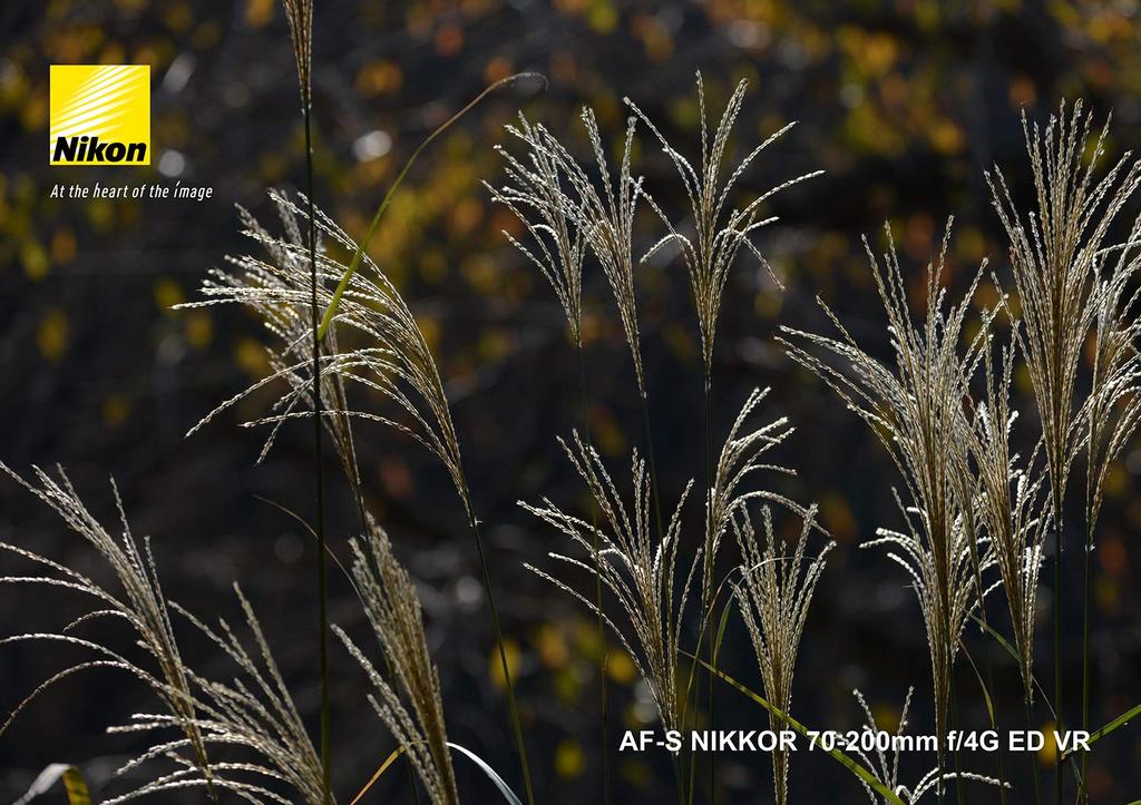 Nikon Телеобъектив с переменным фокусным расстоянием NIKKOR ED VR, совместимый с полноразмерными объективами AF-S 70–200 мм f/4G